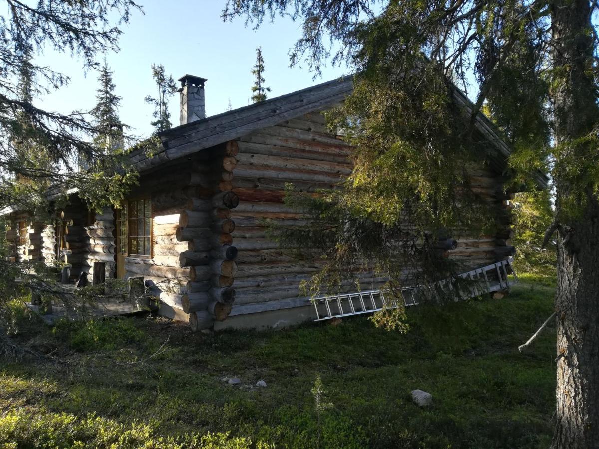 לוסטו Logwood Chalet מראה חיצוני תמונה